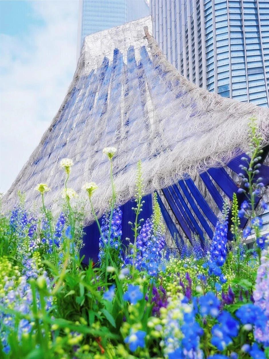 花展还有猫?西岸一日游赶紧安排上