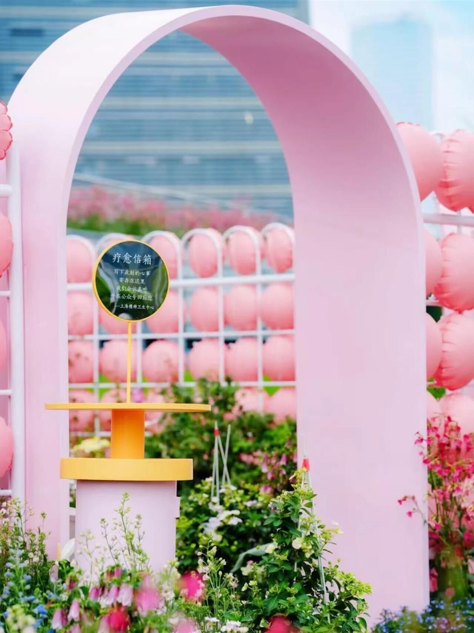 花展还有猫?西岸一日游赶紧安排上