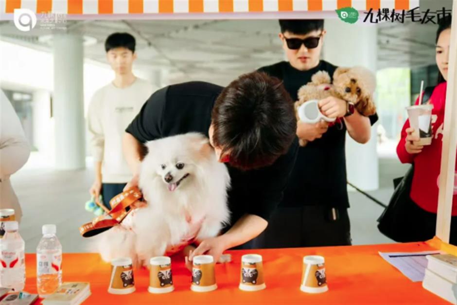 五一去哪?一站式解锁南上海全能玩法