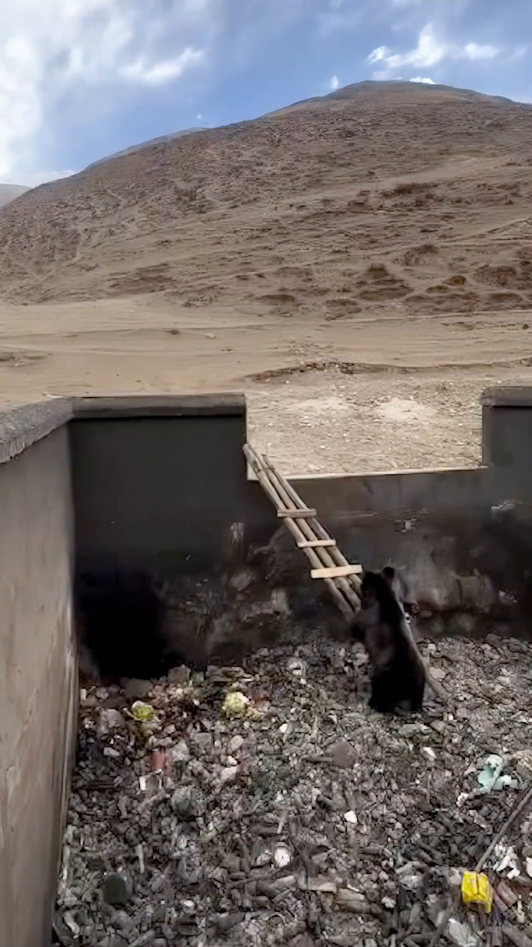Trapped Bear Rescued from Garbage Pit by Police and Villagers in Sichuan