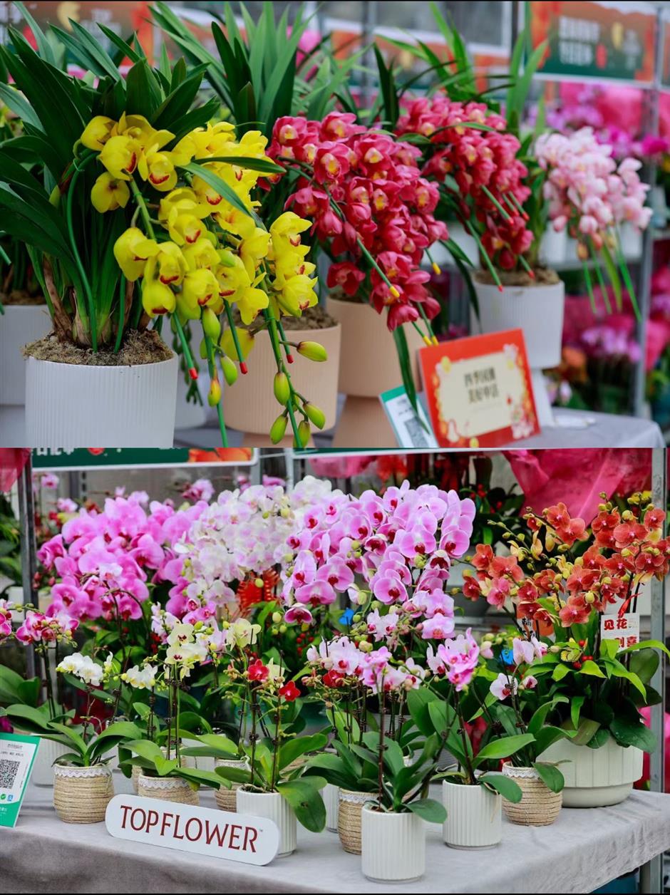 Flower Market Returns to Downtown for Labor Day Holiday