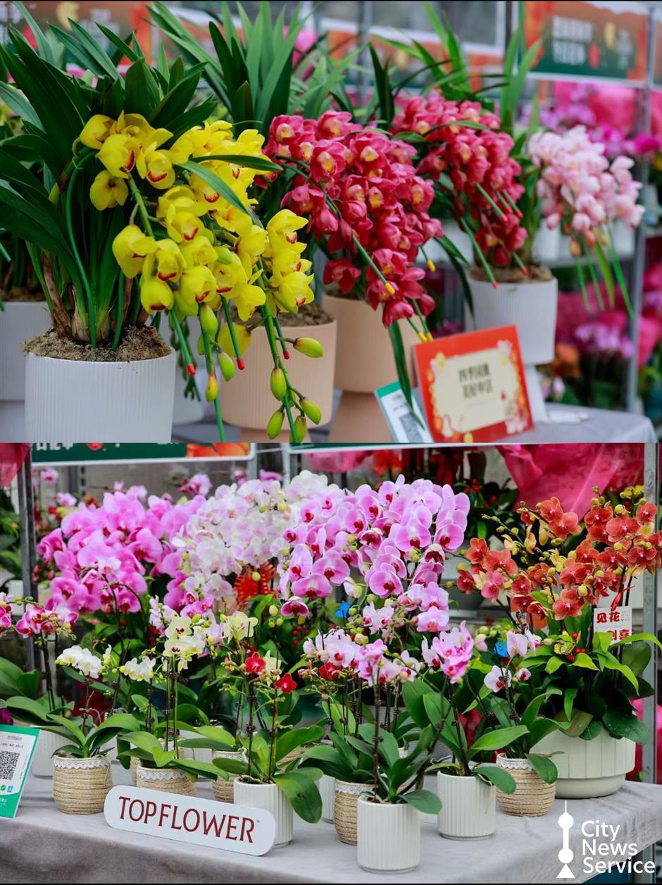 Flower Market Returns to Downtown for Labor Day Holiday
