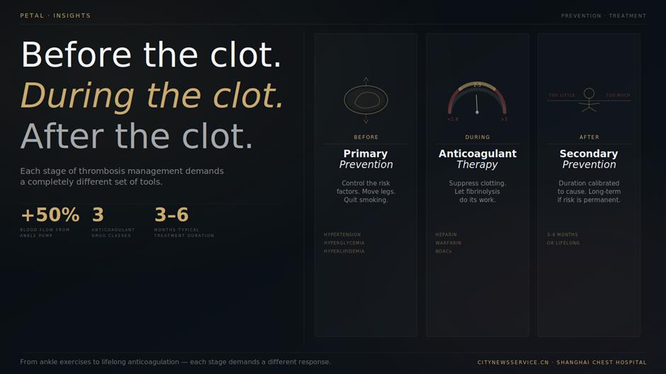 [PETAL Insights] Fighting a Blood Clot That Can Kill You