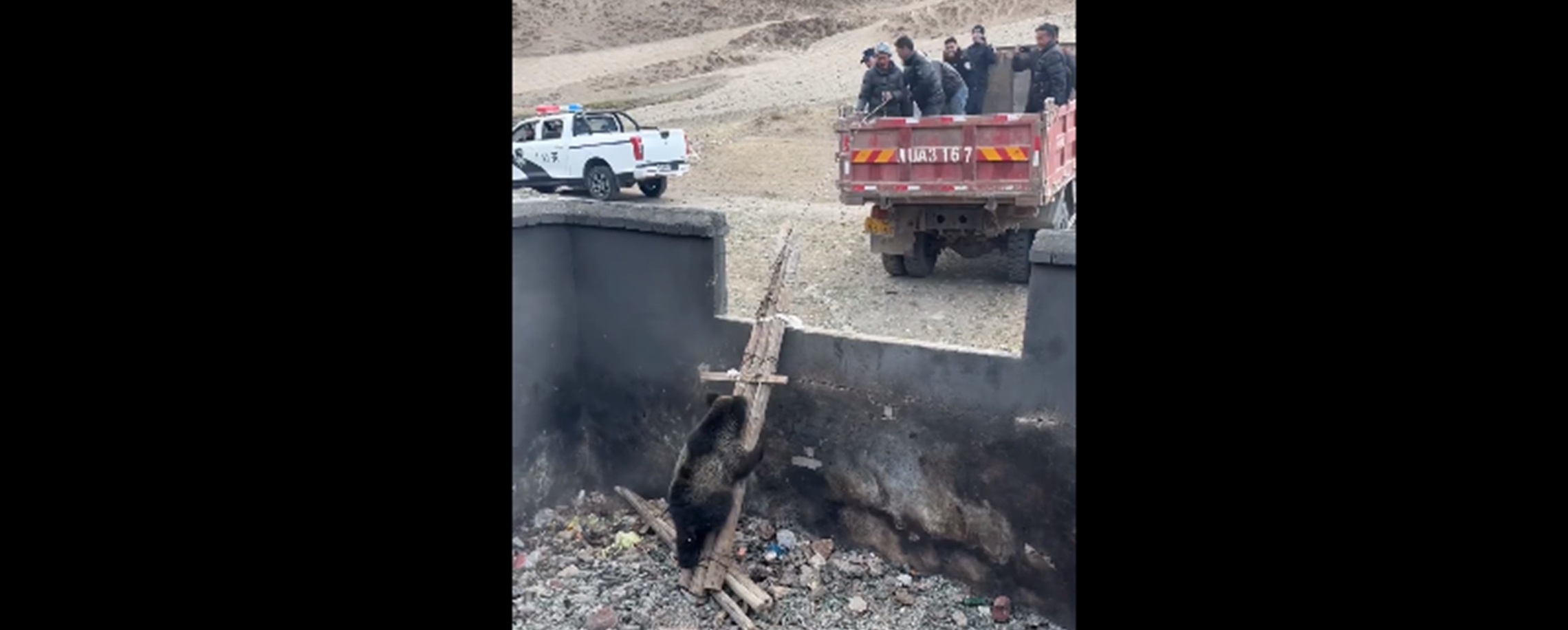 Trapped Bear Rescued from Garbage Pit by Police and Villagers in Sichuan