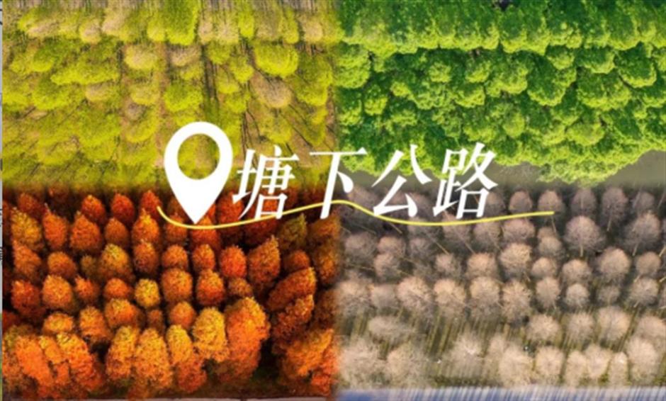 省心又好玩!五一小长假,一站式玩转大上海