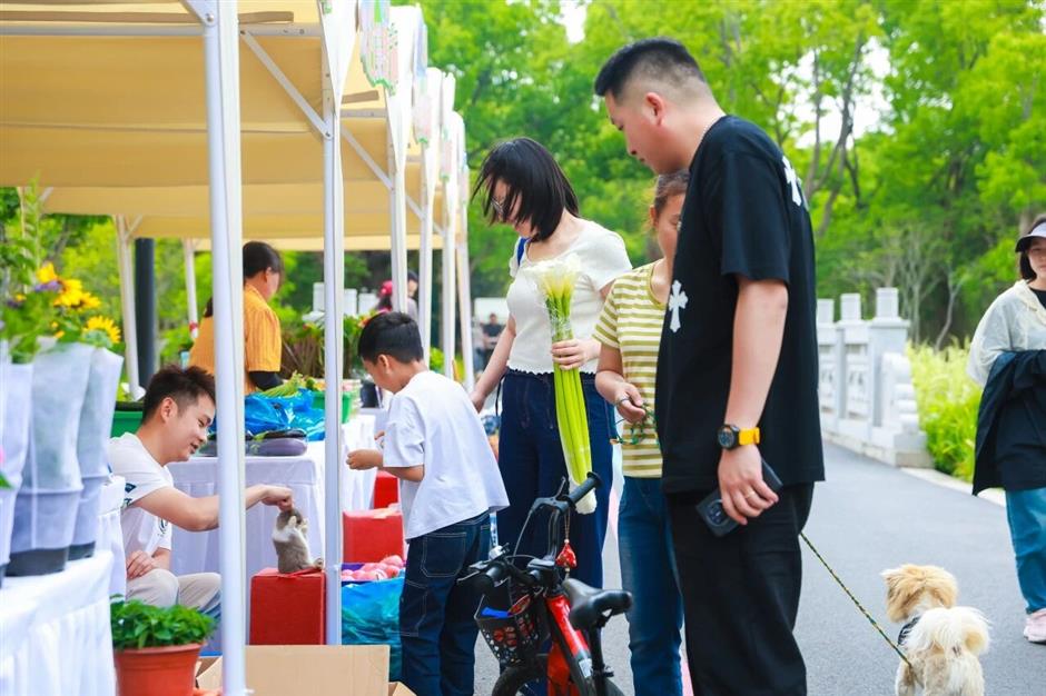 报名啦!五一合庆郊野公园邀您共赴春日之约~