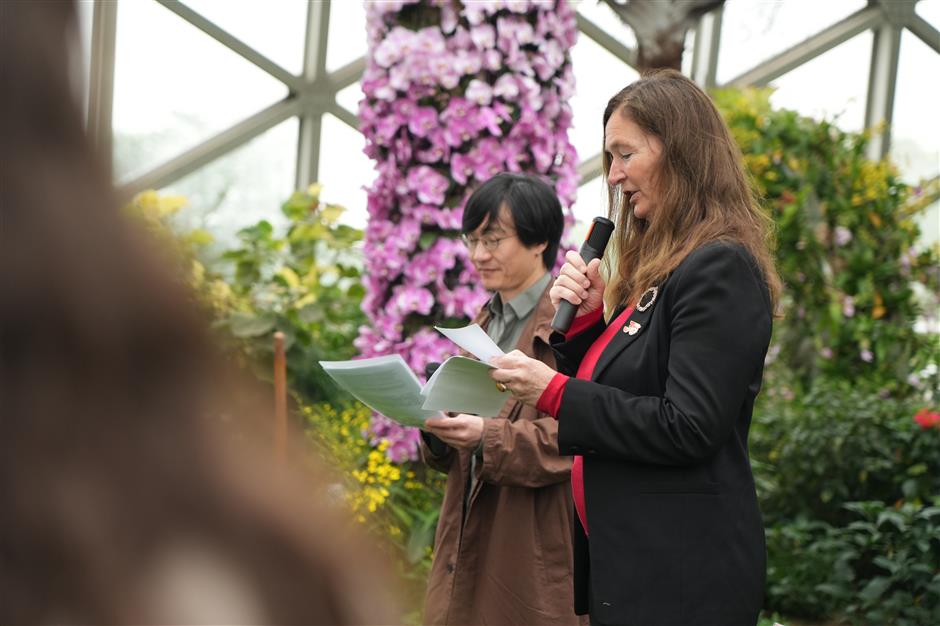 Norway's 'Future Library' Arrives in Shanghai: A Century-Long Experiment in Culture and Nature