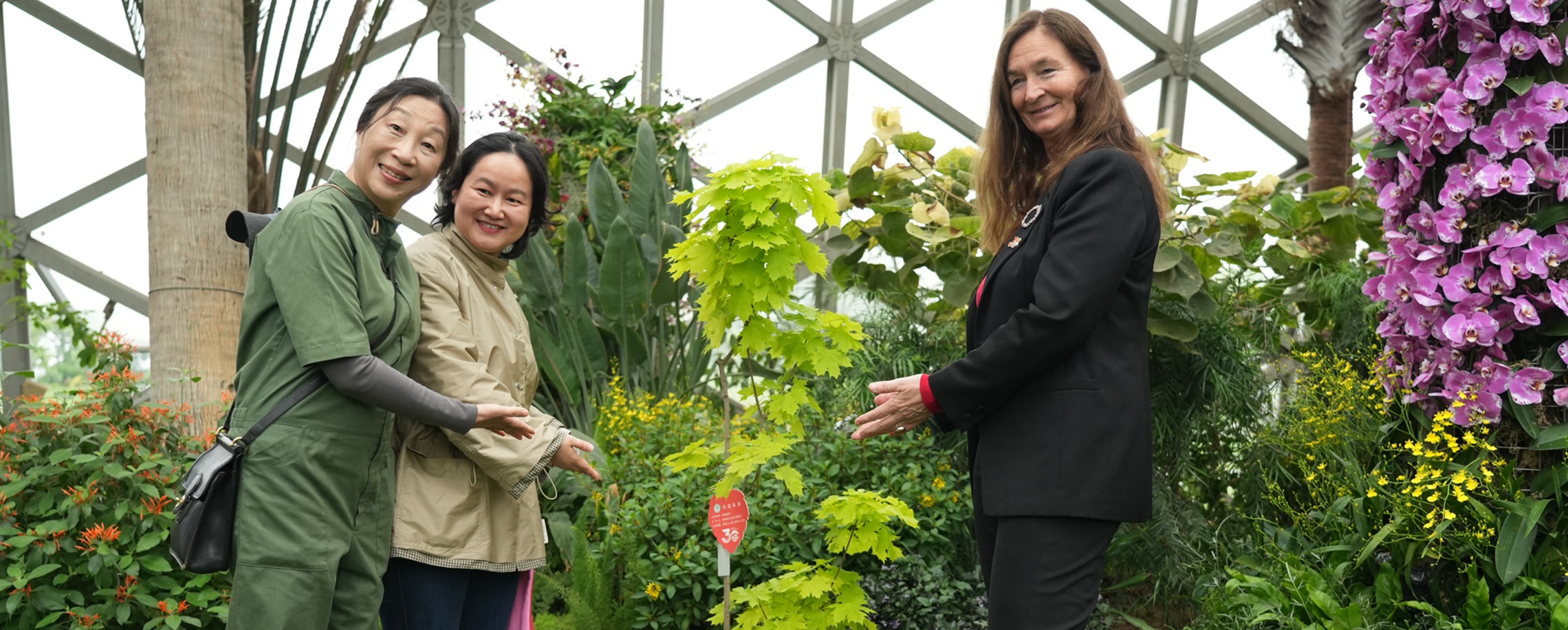 Norway's 'Future Library' Arrives in Shanghai: A Century-Long Experiment in Culture and Nature