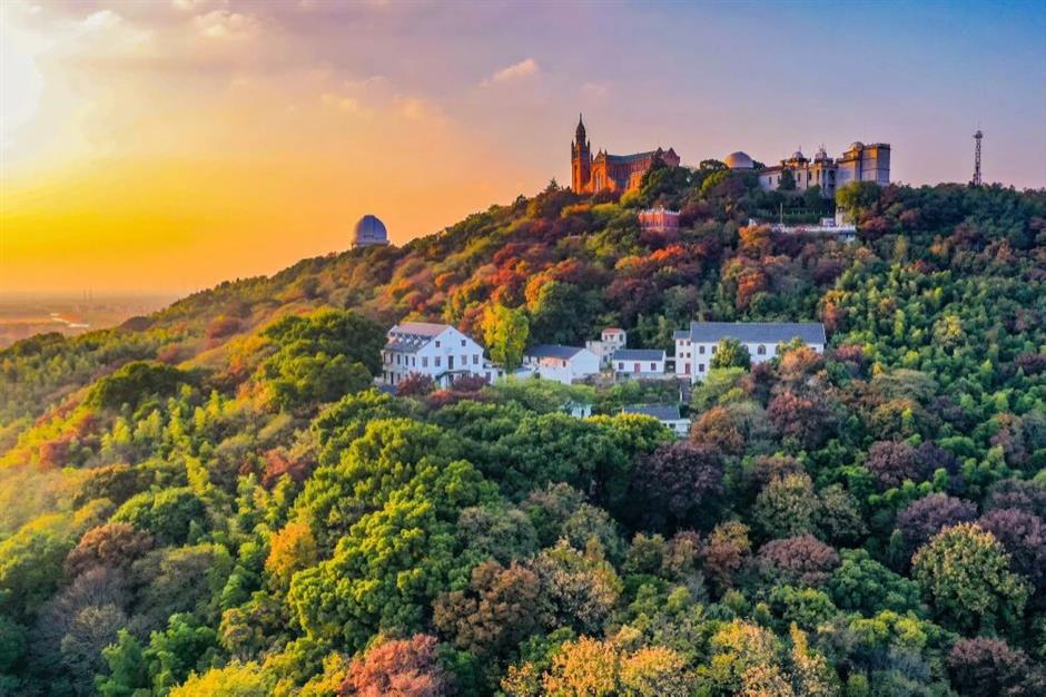 五一趣游松江!六大主题路线+百场活动!解锁沪郊假日全玩法