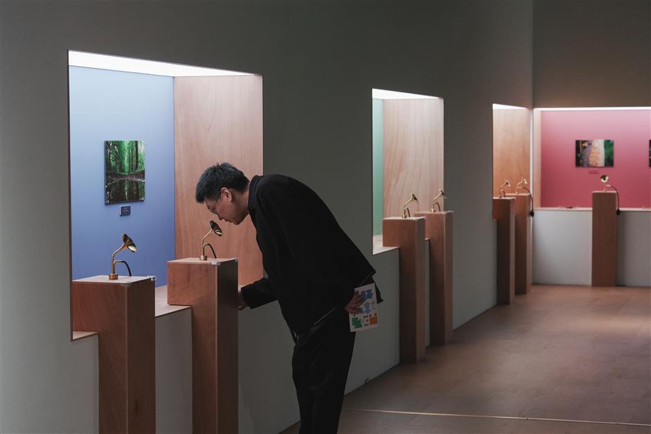 'Only Tree Knows': Art, Science and the Focus on Forest