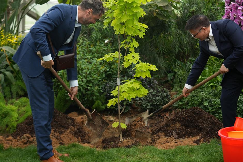 Norway's 'Future Library' Arrives in Shanghai: A Century-Long Experiment in Culture and Nature
