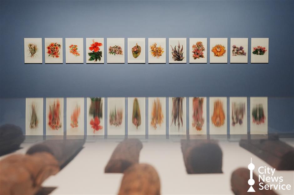 'Only Tree Knows': Art, Science and the Focus on Forest