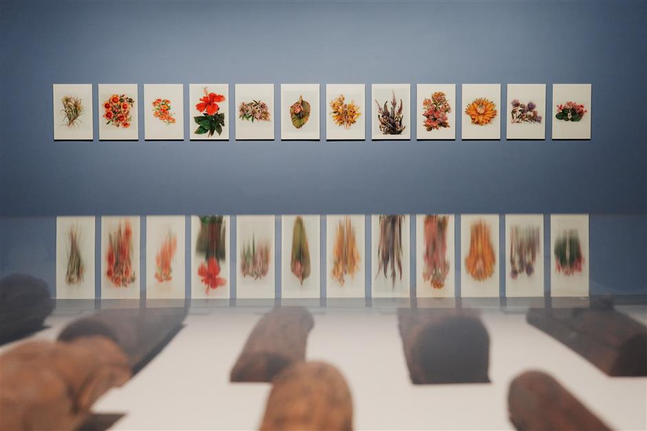 'Only Tree Knows': Art, Science and the Focus on Forest