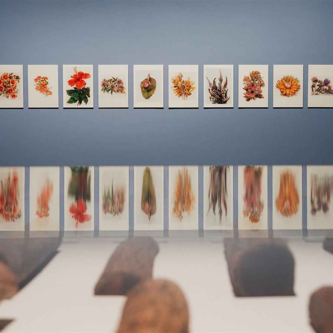 'Only Tree Knows': Art, Science and the Focus on Forest