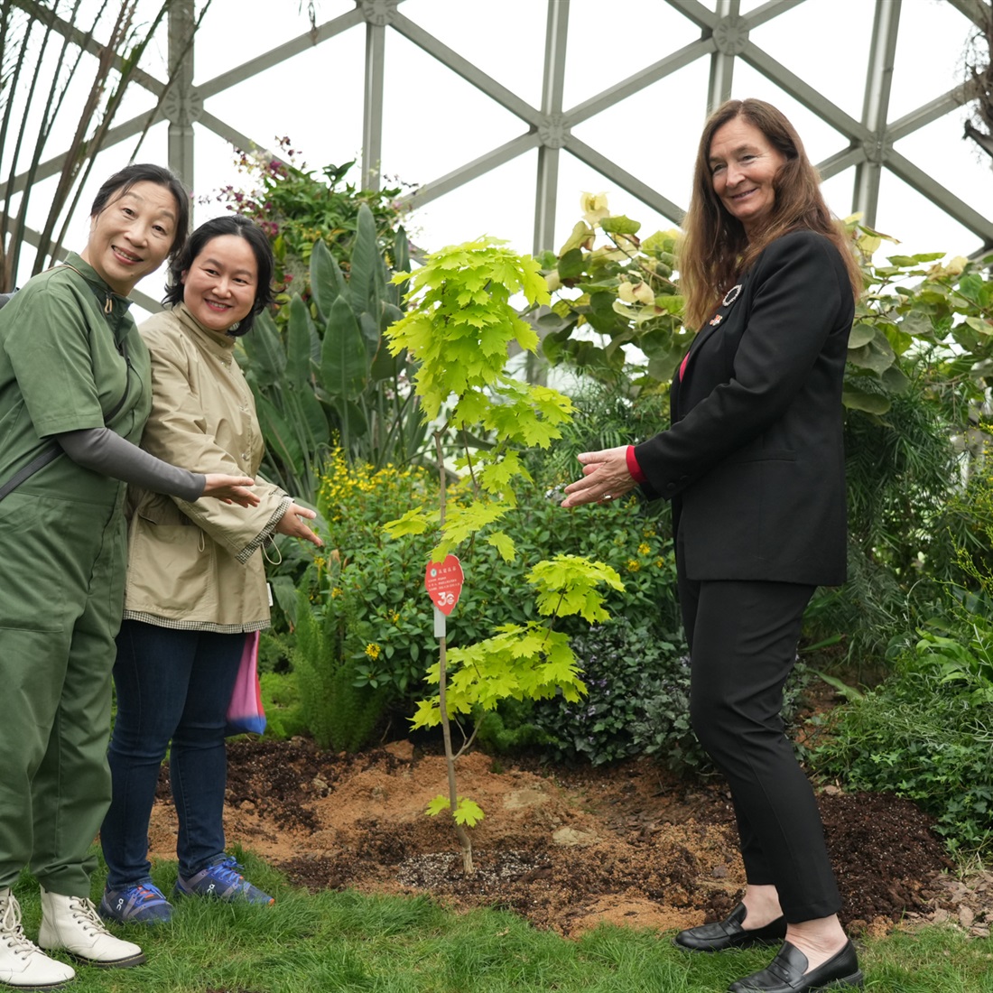 Norway's 'Future Library' Arrives in Shanghai: A Century-Long Experiment in Culture and Nature
