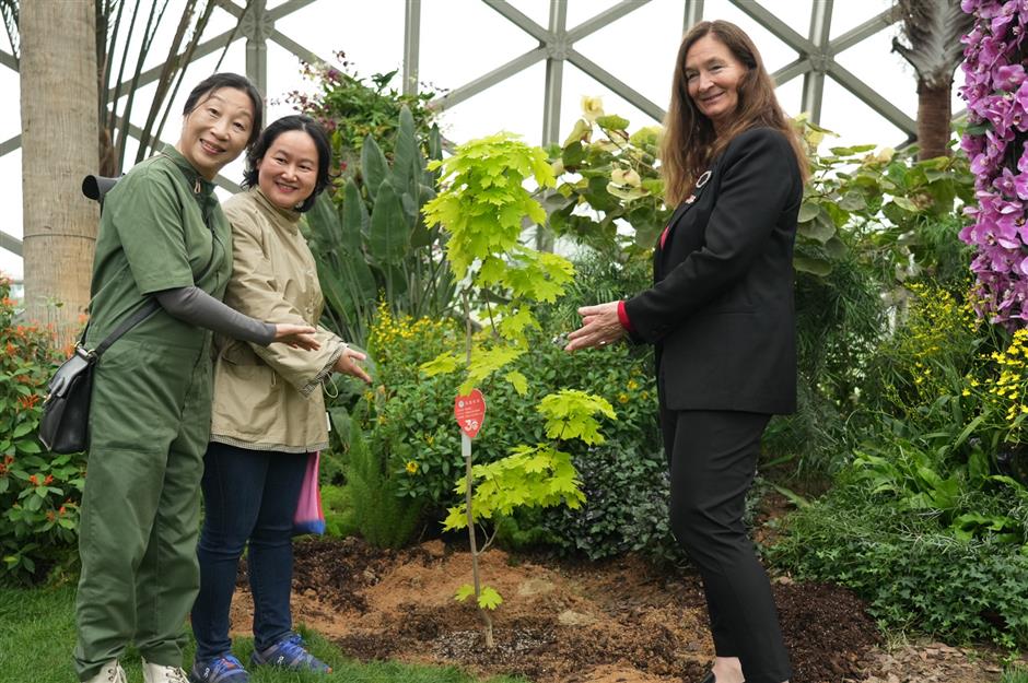 Norway's 'Future Library' Arrives in Shanghai: A Century-Long Experiment in Culture and Nature