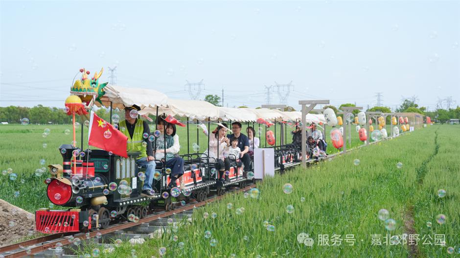 不用人挤人!上海8大郊野公园超好逛