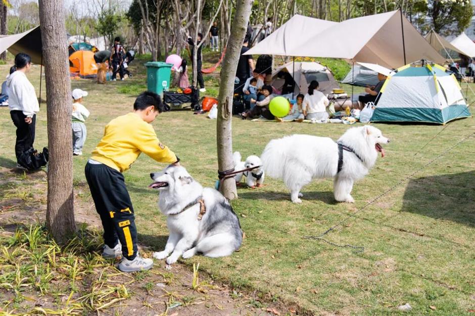 不用人挤人!上海8大郊野公园超好逛