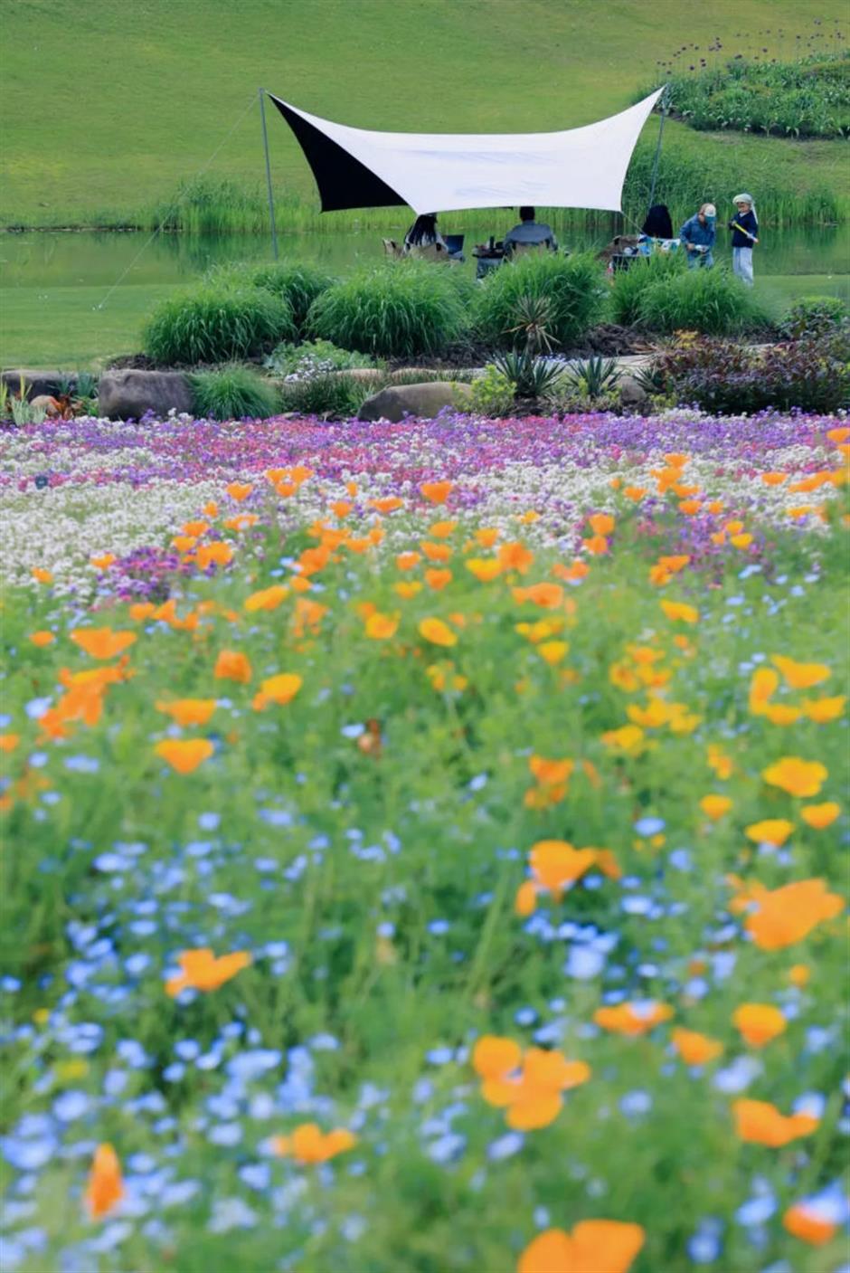 芳华乡约,田园寻趣!上海20条春季乡村精品线路暖心发布
