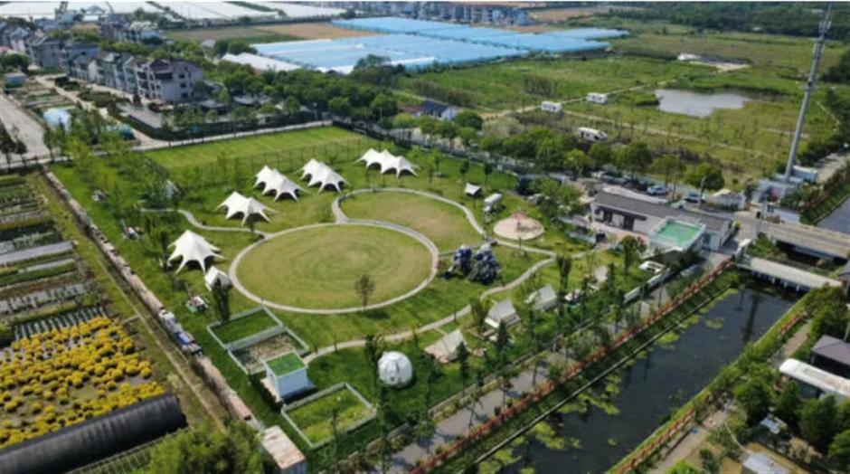 芳华乡约,田园寻趣!上海20条春季乡村精品线路暖心发布