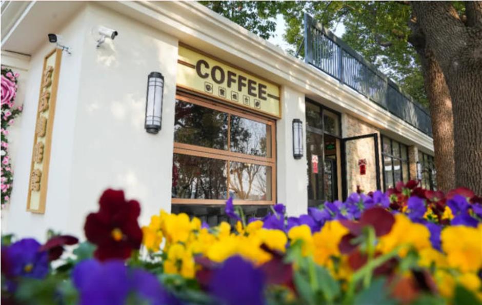 芳华乡约,田园寻趣!上海20条春季乡村精品线路暖心发布