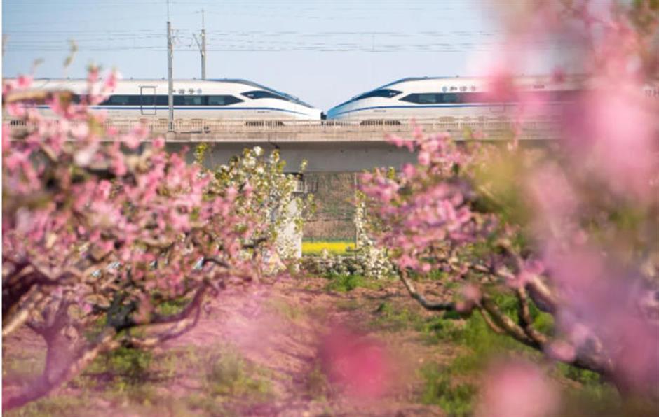 芳华乡约,田园寻趣!上海20条春季乡村精品线路暖心发布