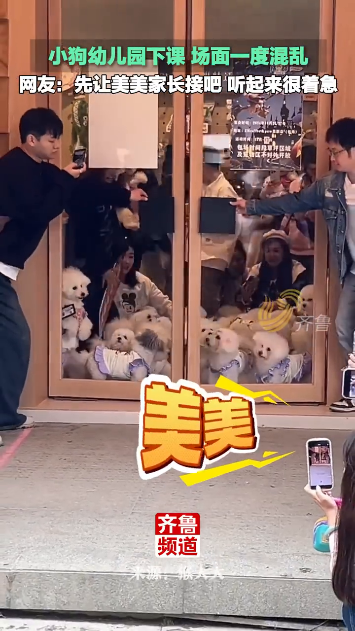 Woman Spends US$1,650 a Month on Dog Kindergarten as China's Pet Industry Surges