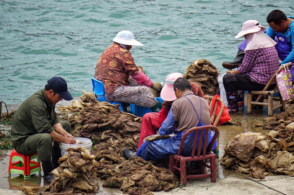 [Weekend Escape] 2hrs From Shanghai, An Abandoned Island Village