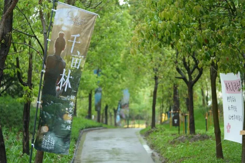 上海这片