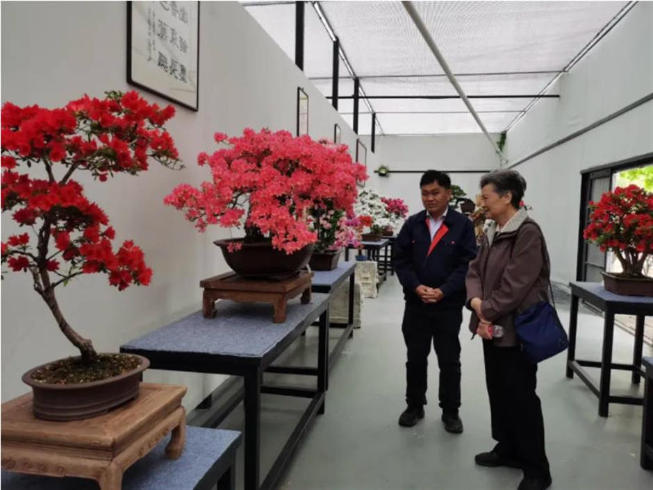 一站式逛市集、赏演艺、惠游申城!中国旅游日,百项活动邀您乐游上海!