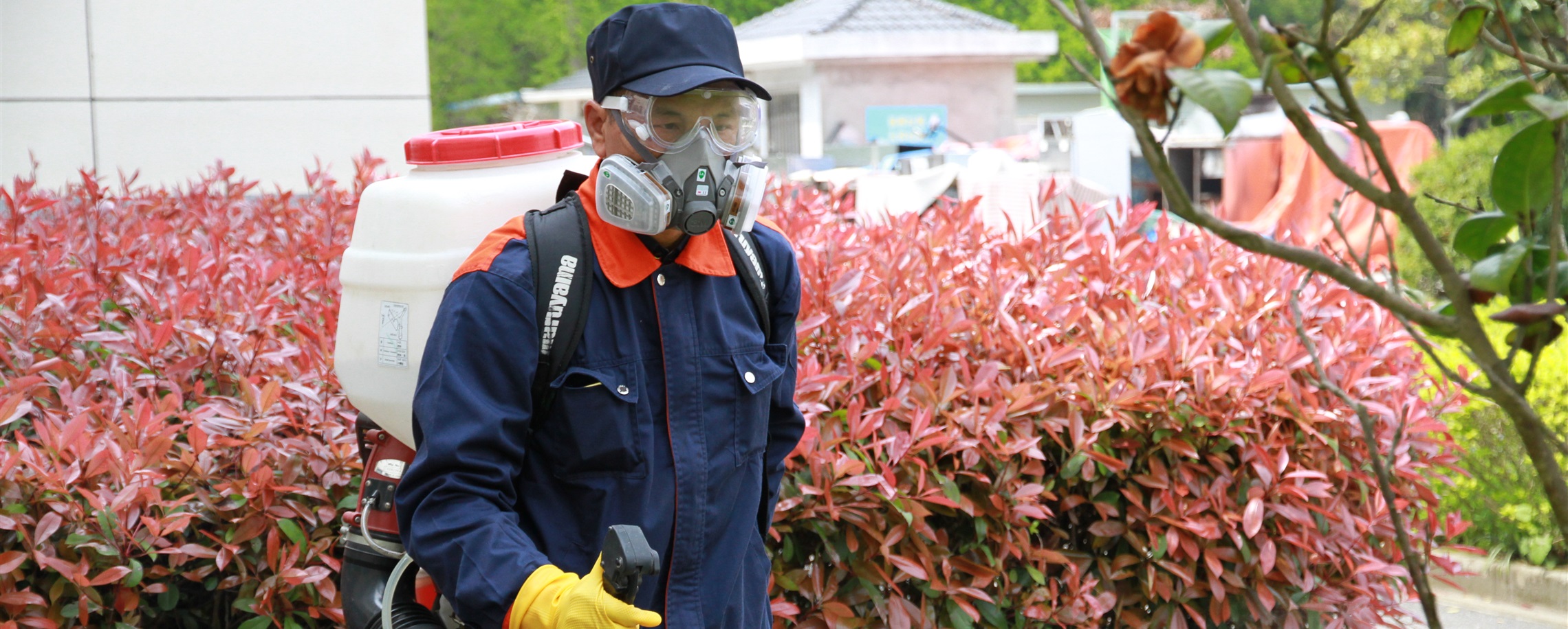 Shanghai Launches Anti-mosquito Campaign
