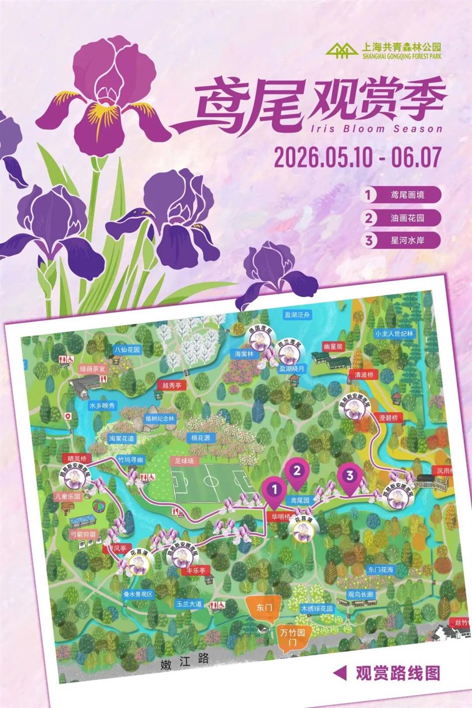 美!上海5000㎡免费鸢尾花海来了