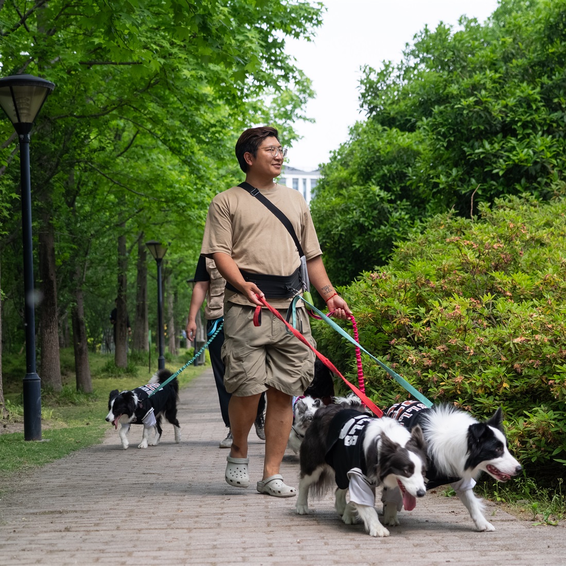 Dog Kindergarten Offers Socialization and Care In Shanghai