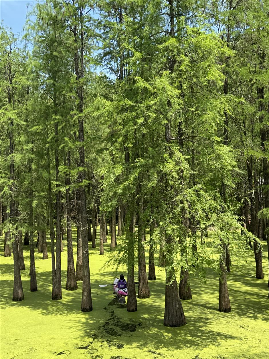 [Weekend Escape] The Guide – What to Do, Eat & See in Hangzhou