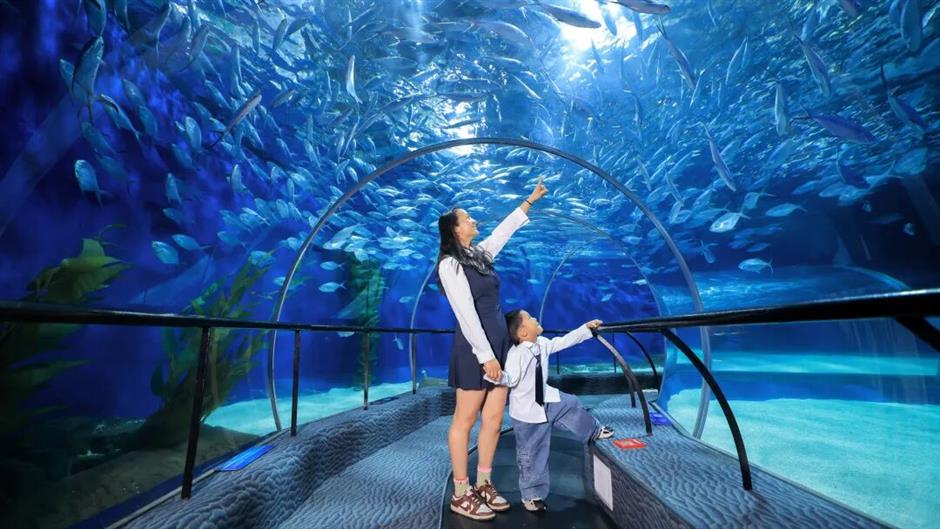 Shanghai Offers Half-Price Tickets at 56 Attractions for Tourism Day