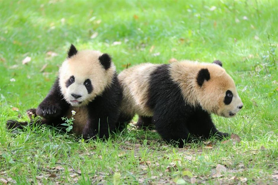 Shanghai Offers Half-Price Tickets at 56 Attractions for Tourism Day