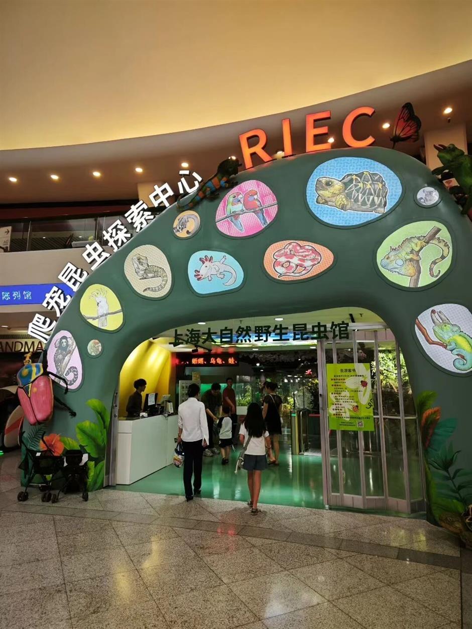 Shanghai Offers Half-Price Tickets at 56 Attractions for Tourism Day