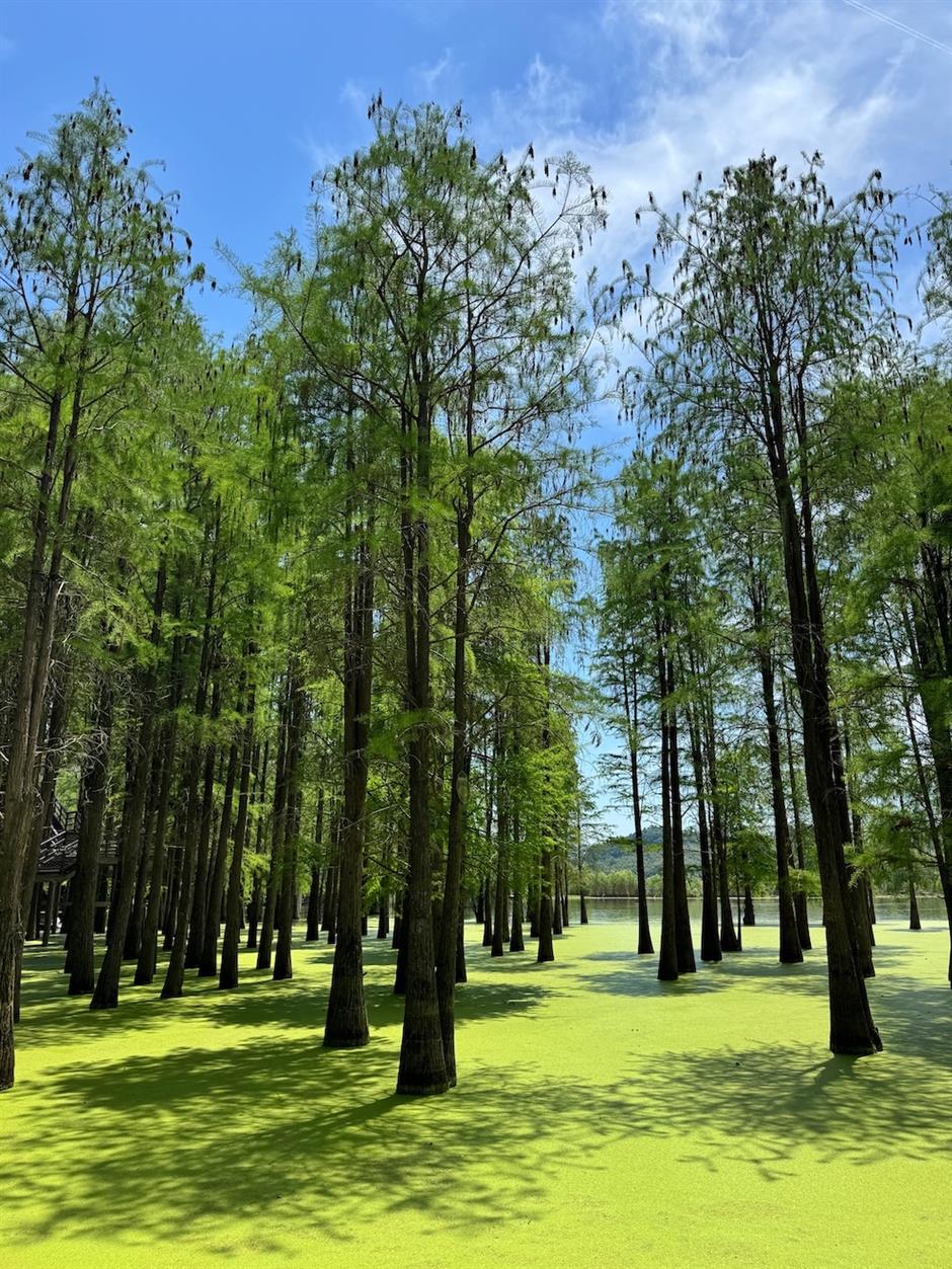 [Weekend Escape] The Guide – What to Do, Eat & See in Hangzhou