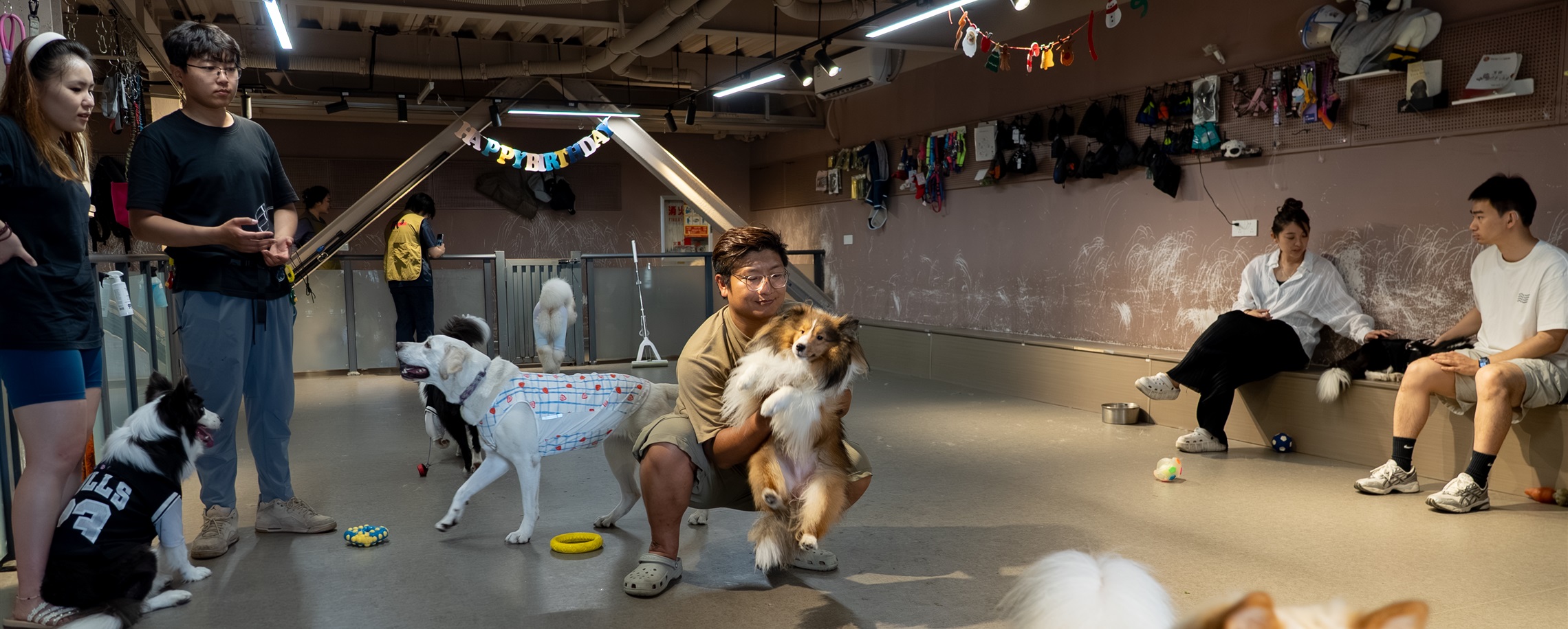 Dog Kindergarten Offers Socialization and Care In Shanghai