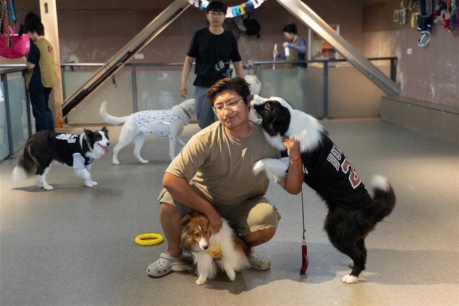 Dog Kindergarten Offers Socialization and Care In Shanghai
