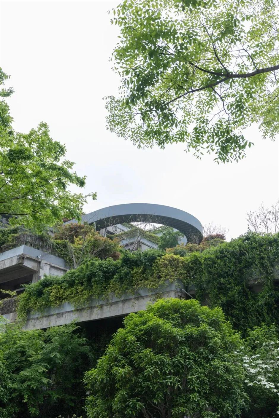 来杨浦兜马路,喝咖啡,读懂老建筑的故事
