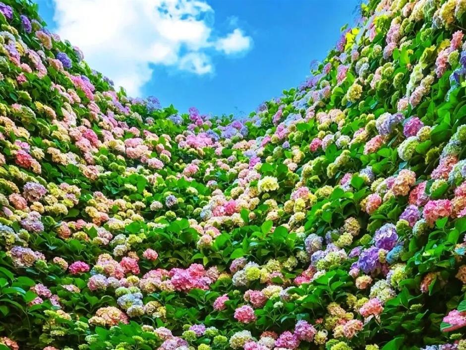 藏在郊野的秘境,走进上海的神仙艺术村