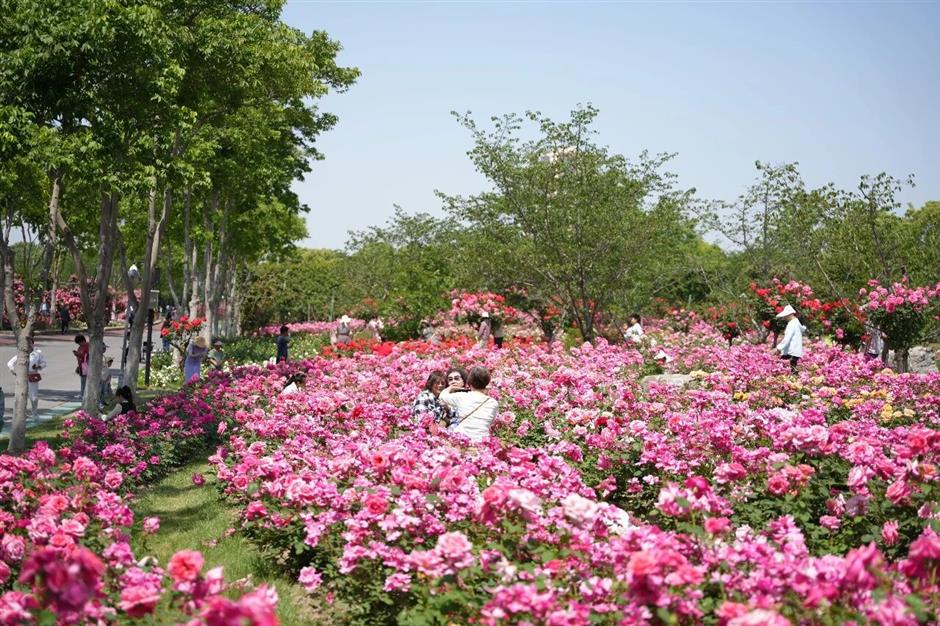 Shanghai Offers Half-Price Tickets at 56 Attractions for Tourism Day