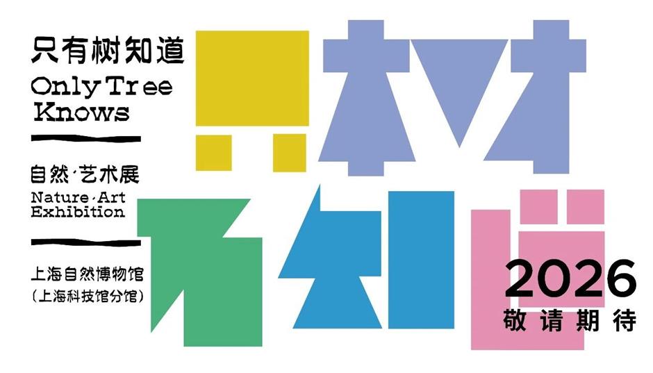 5·18国际博物馆日|超百场重点文博展览、精彩活动扎堆上线