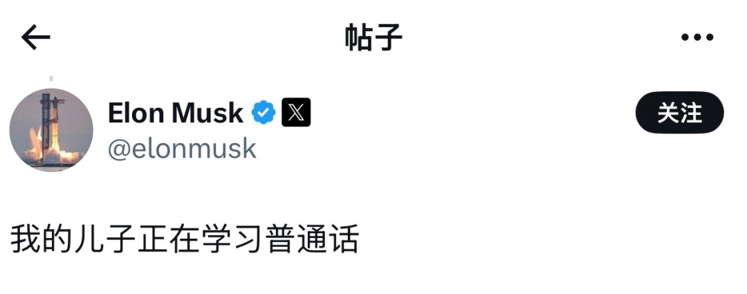 Musk's Son Goes Viral in Beijing During Trump's China Visit
