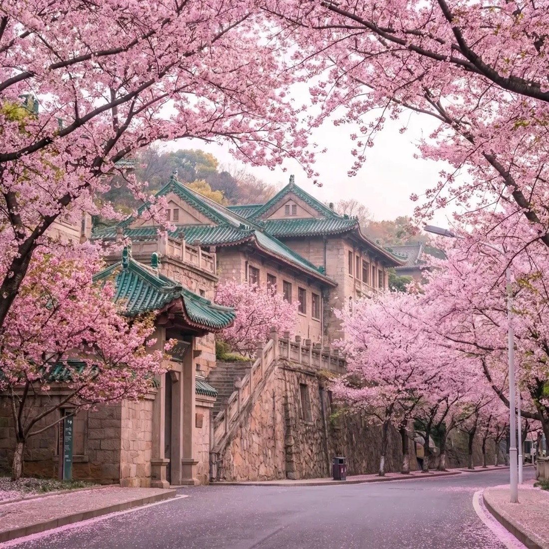 Cheers for Open-Gate University in Wuhan