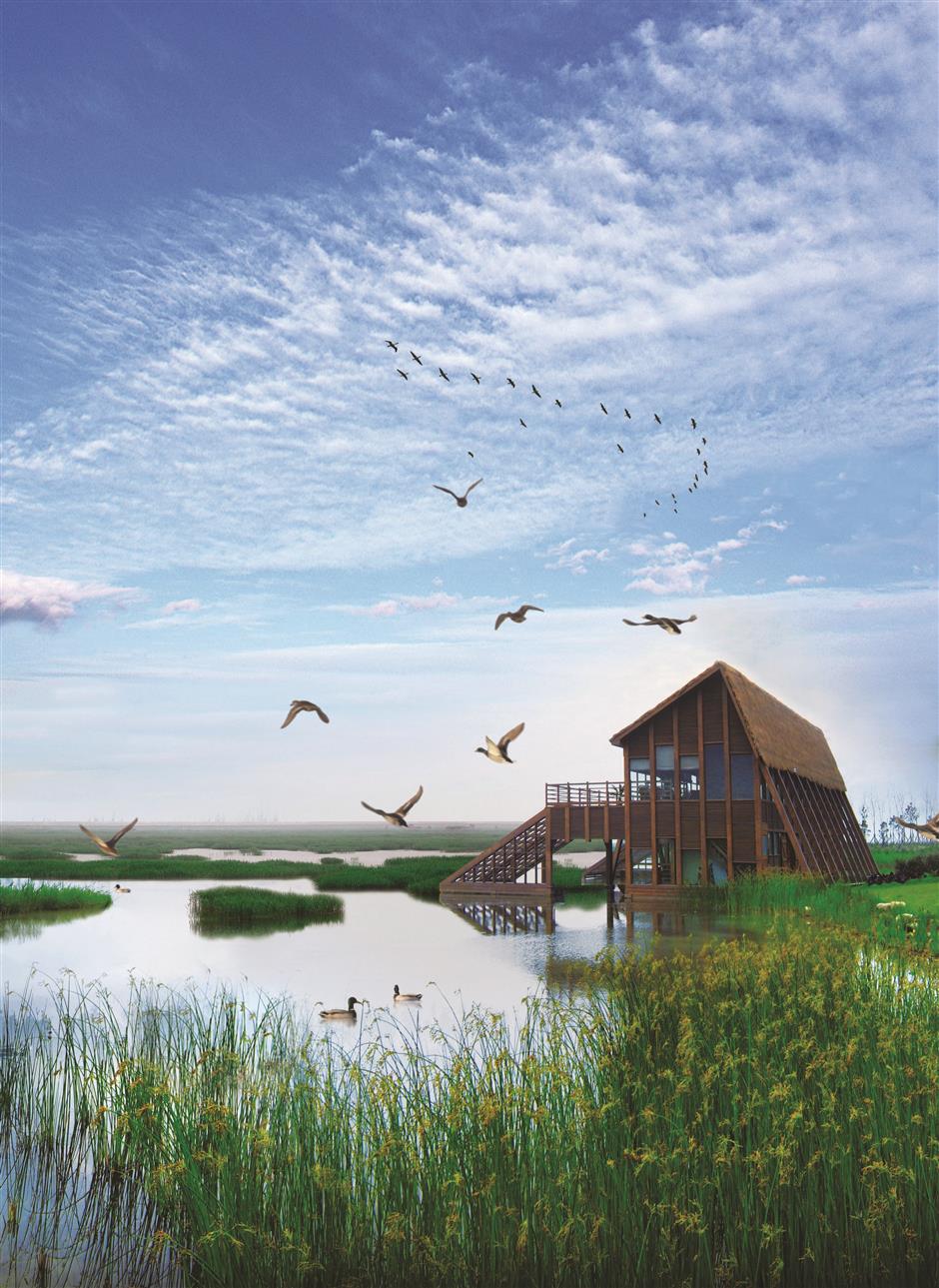 Chongming Leads China's Ecological Movement