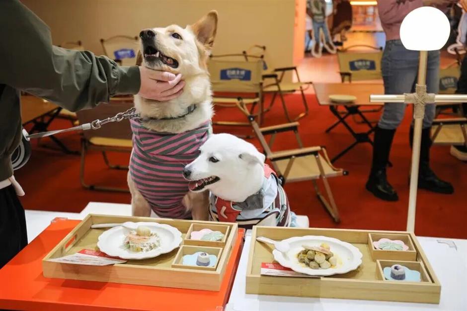 黄浦潮牌、俄餐、宠物鲜食集体上新!还有奶茶跨界螺蛳粉