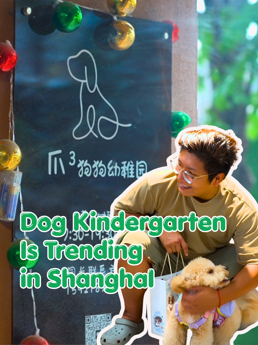 Dog Kindergarten Offers Socialization and Care In Shanghai