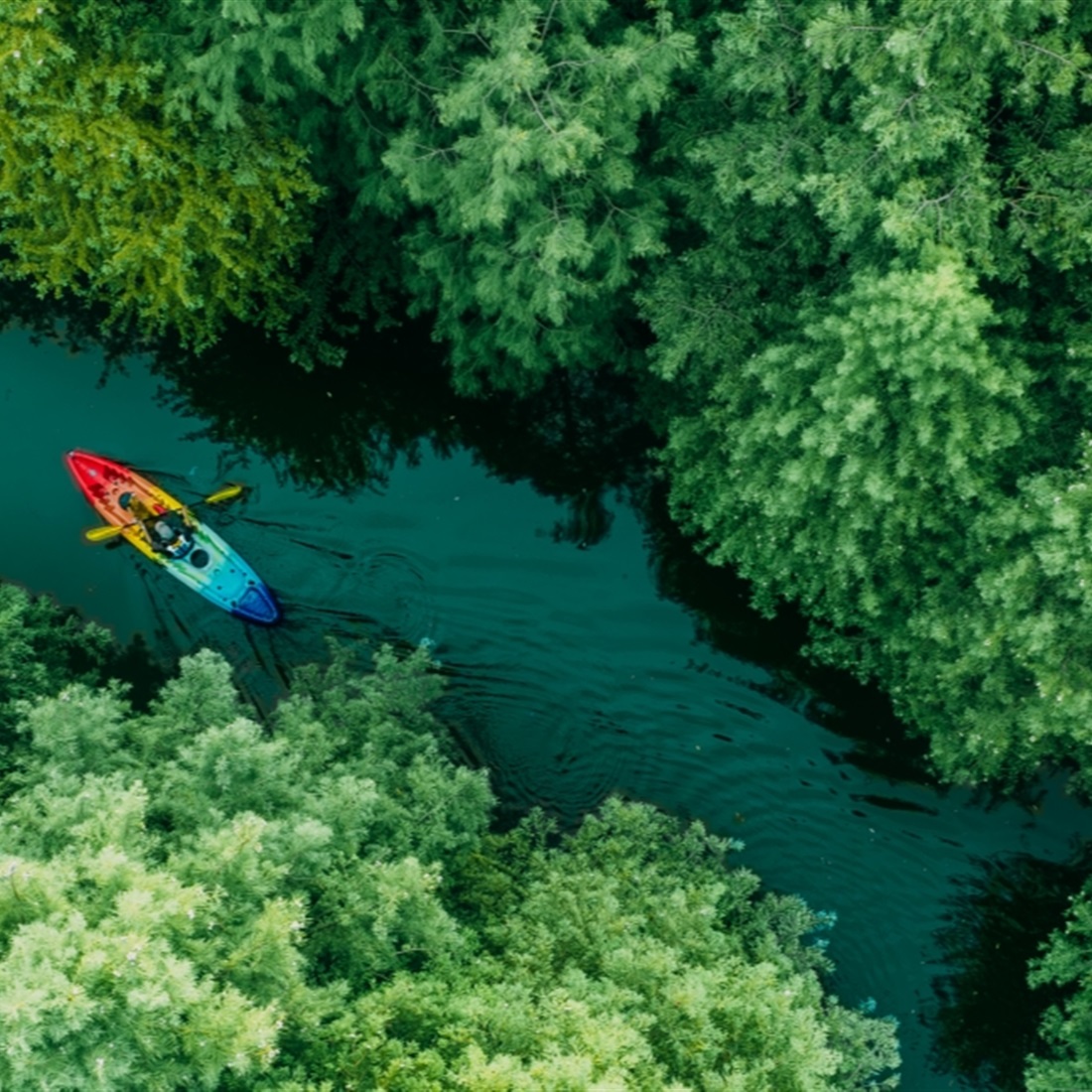 World-Class Eco-Island Chongming Marks Biological Diversity Day